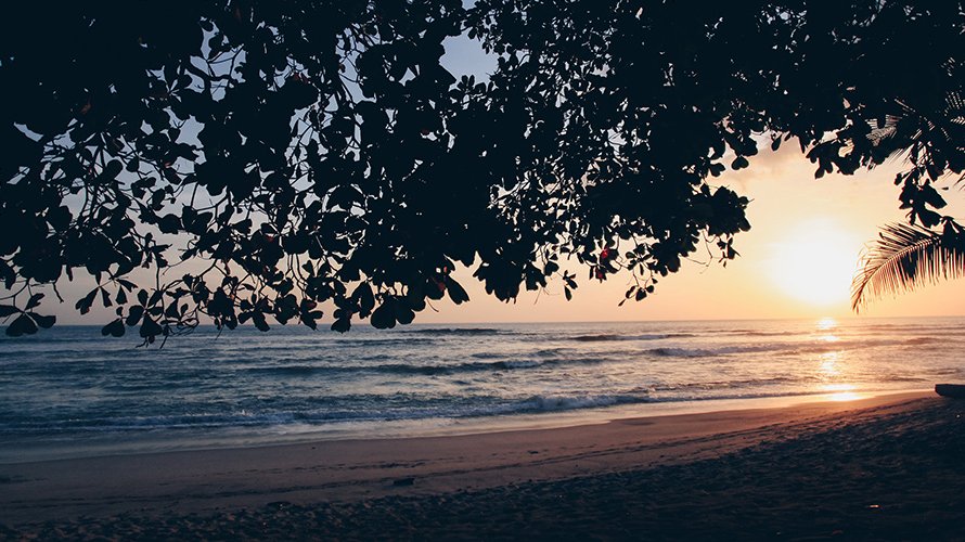 Costa Rica’s is 2024’s Destination of the Year