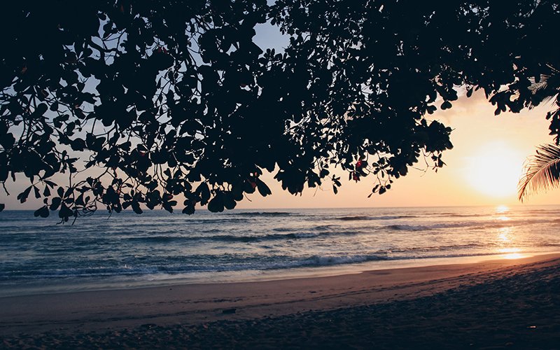 Costa Rica es el Destino del Año 2024