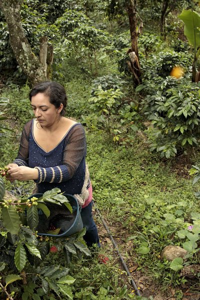 Una nueva iniciativa empodera a las mujeres rurales en Costa Rica