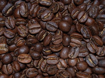 El Café Costarricense Brilla en un Escenario Global