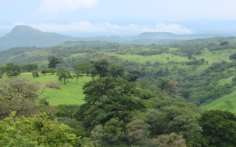 Un nuevo proyecto busca maximizar la energía eólica de Costa Rica