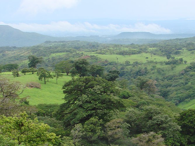 Dominical