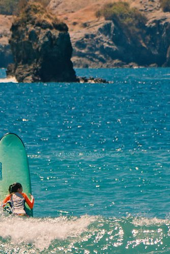 Navegando por el ecosistema del surf de Quepos