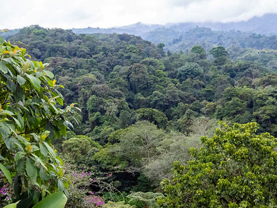 Costa Rica es el destino de bodas perfecto