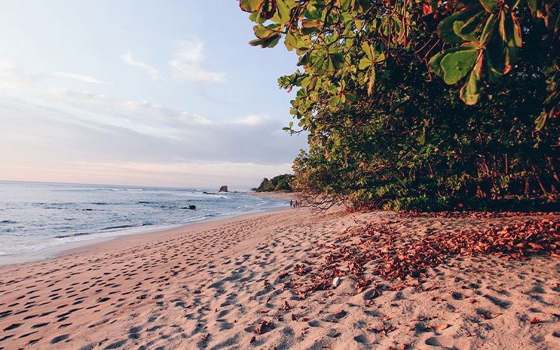 Costa Rica es uno de los mejores destinos del mundo en enero – Alquileres de vacaciones en Manuel Antonio & Villas de lujo