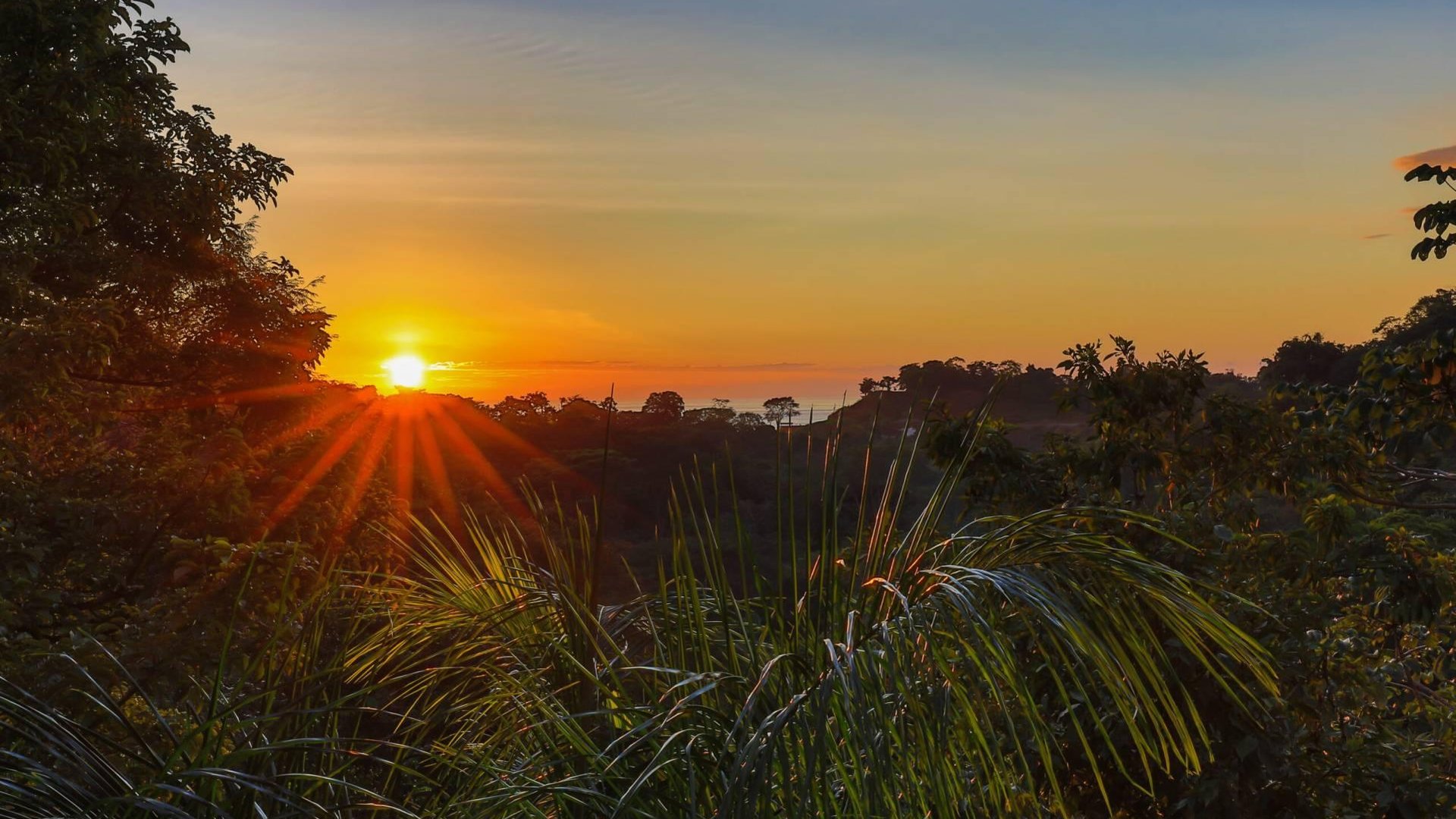 The Luxury of the Wild: Villas in Manuel Antonio, Costa Rica