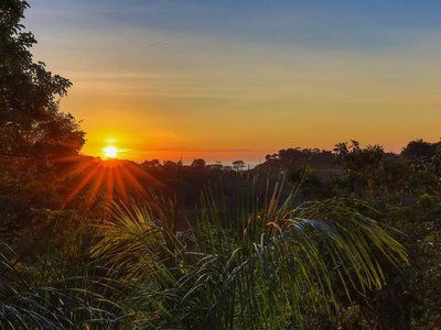 El lujo de lo salvaje: Villas en Manuel Antonio, Costa Rica