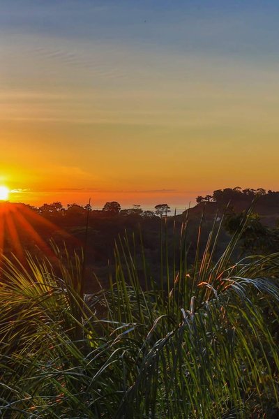 The Luxury of the Wild: Villas in Manuel Antonio, Costa Rica