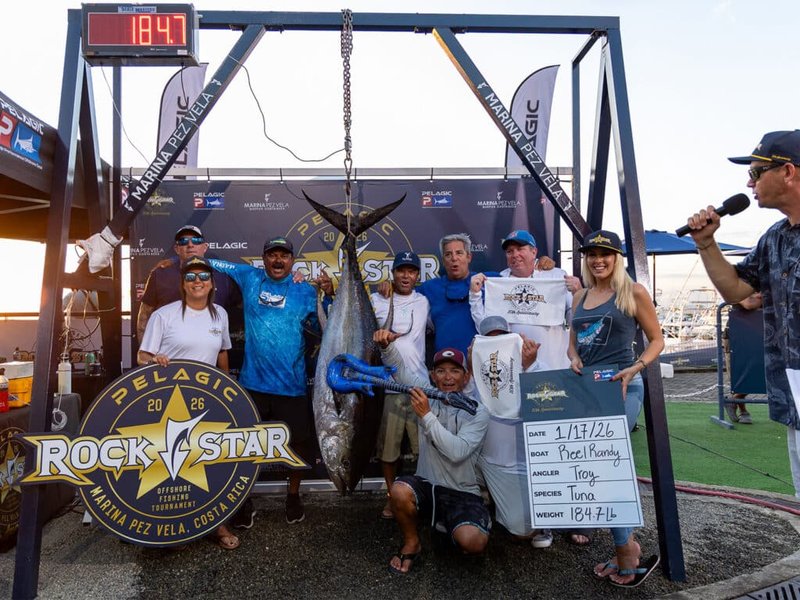 Un equipo celebra un atún de 184 libras en el pesaje del Rockstar 2026, Marina Pez Vela