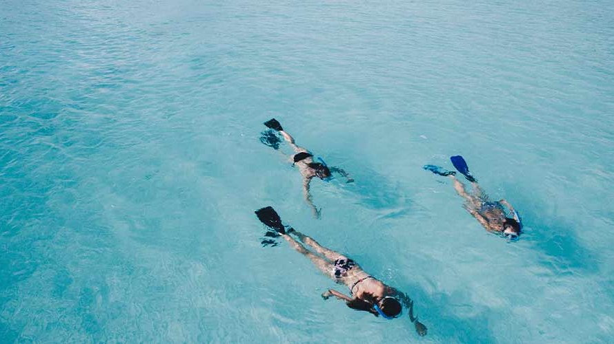 5 Things You Have to Do When Visiting Manuel Antonio