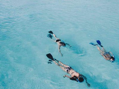 5 Cosas Que Tienes Que Hacer Al Visitar Manuel Antonio